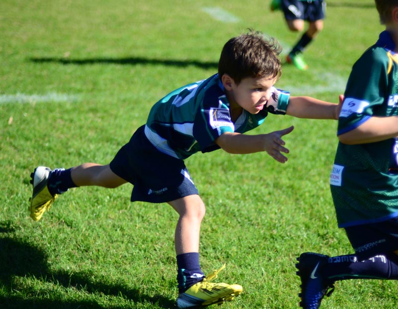 Flinders Rugby Club